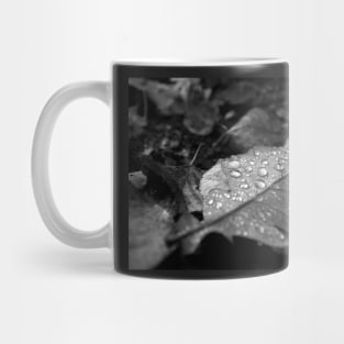 Dew Drops on Autumn Leaves Mug